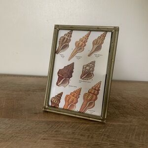 Vintage Gold Picture Frame with Seashell Art